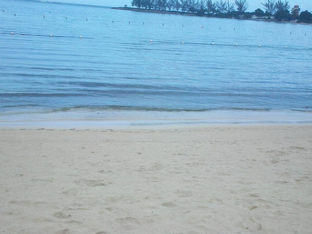 Turtle Towers Daire Ocho Rios Dış mekan fotoğraf
