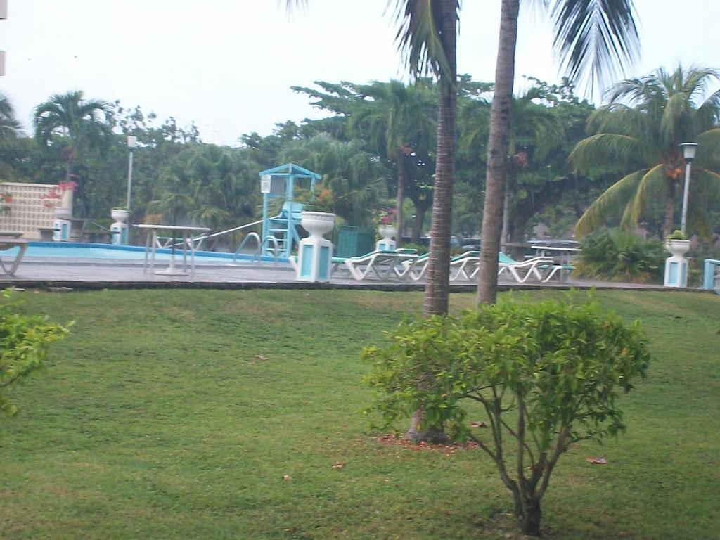 Turtle Towers Daire Ocho Rios Dış mekan fotoğraf